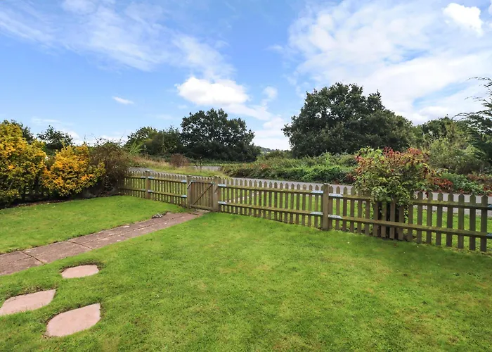 Meadow View
